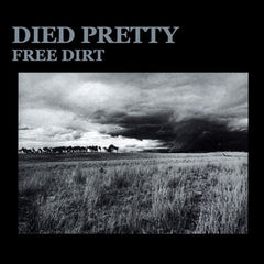 AVSCD041 - Died Pretty: Free Dirt
