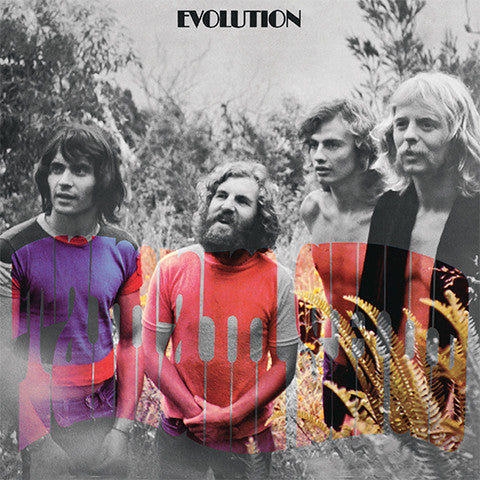Tamam Shud - Evolution (Bonus Track Edition)